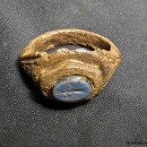 New acquisition: a Roman silver signet ring