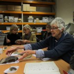 Museum Society members examine pottery in the Roman Baths store