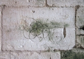 Tithe Barn, Barton Farm, grafitti