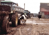Upper Bearfield Farm, Bradford on Avon in 1994