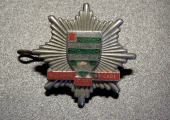 Wiltshire Fire Brigade cap badge
