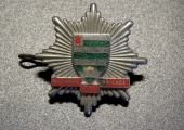 Wiltshire Fire Brigade cap badge