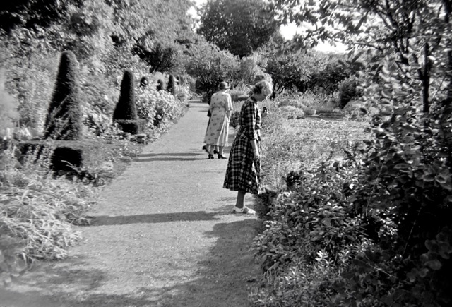The Courts Garden 1952