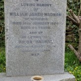 The Museum Collection: the Wadman Trophy