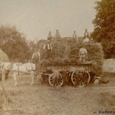 Old Photographs: Farming