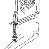 Collingbourne Ducis skeleton